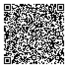 G B C Automotive QR vCard