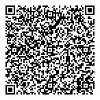 Ldf Consulting Services QR vCard