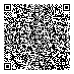 Ray's Mobile Washing QR vCard
