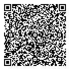 Geppetto's QR vCard