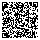 Louis Balcaen QR vCard