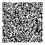 Jester's Court The QR vCard