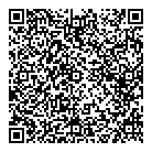 Smart Set QR vCard