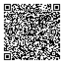Albert V Taylor QR vCard