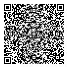 Mvm Transport QR vCard