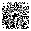 D Pashe QR vCard