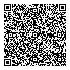 Flying Pizza QR vCard