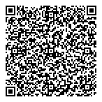 Details Cleaning Co. QR vCard