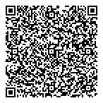 Have Blue Consulting QR vCard