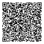 Lang Business Systems QR vCard