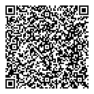 Ford QR vCard