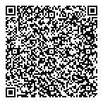 P F Consulting QR vCard