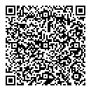 R Shail QR vCard