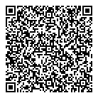 Auto Foge QR vCard