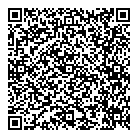 Surplus QR vCard