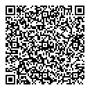 L Wang QR vCard