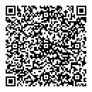 Di Wang QR vCard