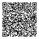 T Chen QR vCard