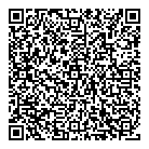 K G Auto QR vCard