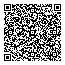 D Wilson QR vCard