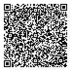 Triple Point Consulting QR vCard