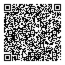 D Wilson QR vCard