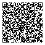 XSiV Holdings inc QR vCard