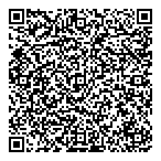 Lanes Motors Ltd QR vCard