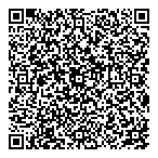 Ptl Systems Consulting QR vCard