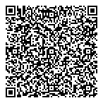 SoyegeAdeloye QR vCard