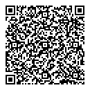 P Ferguson QR vCard