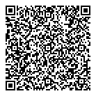 Paint Plus QR vCard