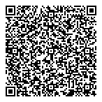 Village Auto Sales Ltd QR vCard