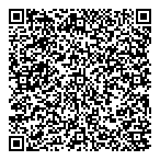 Dillon Consulting Ltd QR vCard