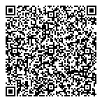 Cggveritas QR vCard