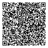 Andries Electrical Systems Ltd. QR vCard
