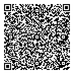 Blz Energy Ltd. QR vCard