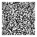 Daleco Consulting QR vCard