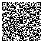 Vision Electric Ltd. QR vCard