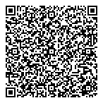 Wise Guys Business Consulting QR vCard