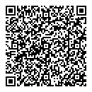 Nikole Johnston QR vCard