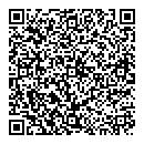 N Chan QR vCard