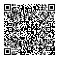P Lee QR vCard