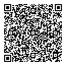 D Singh QR vCard