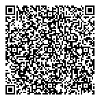 Wesolowsky Consulting QR vCard