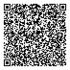 Link Insurance QR vCard