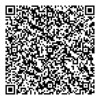 Link Insurance QR vCard