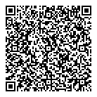 High 5 Sports QR vCard