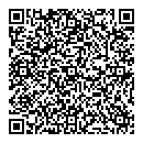 P Williams QR vCard