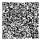 Dpi Engines QR vCard